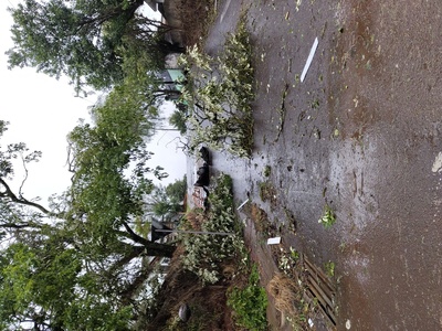 Temporal causa estragos em Laranjeiras do Sul