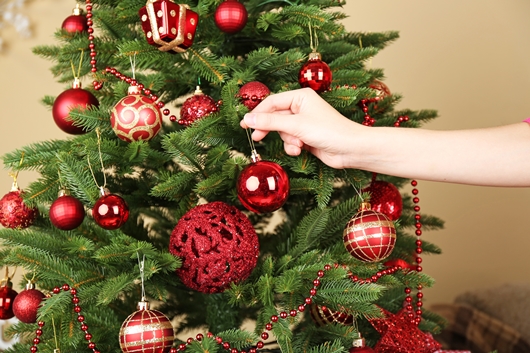 Árvore de Natal - Existe um dia certo para montá-la? - Radio Campo Aberto  FM - A Rádio da Família