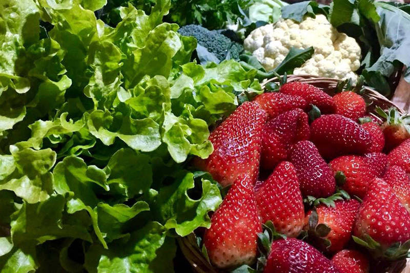 DERAL - Boletim agropecuÃ¡rio fala do Ano Internacional das Frutas e Vegetais