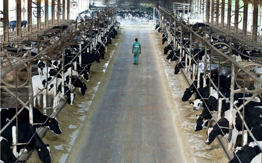 Reunião do Conseleite- PR anuncia nova baixa no preço do litro do leite pago ao produtor 