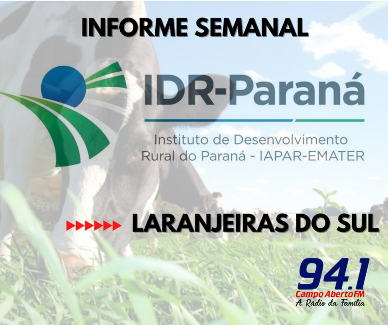 IDR Paraná -  Regional de Laranjeiras do Sul planeja ações para 2021