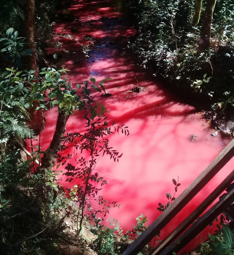 'Rio vermelho' intriga moradores de Virmond;  IAT afirma que motivo foi queda de galão de tinta