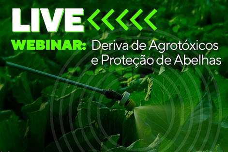 Webinar da Adapar discute impacto de agrotóxicos em culturas sensíveis e proteção de abelhas