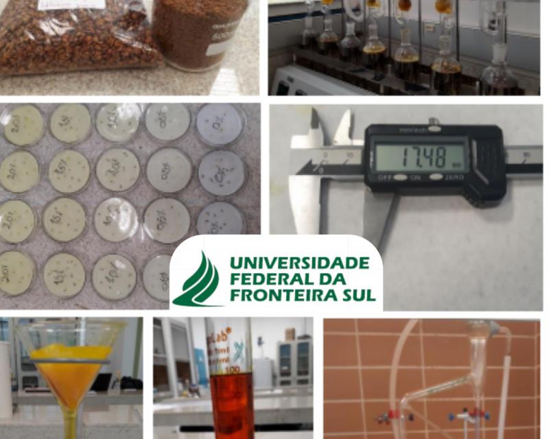 UFFS: Trabalho de estudante de Agronomia Ã© premiado pelo Crea-PR no PrÃªmio Melhores TCCs
