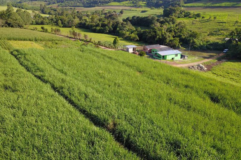 Prazo para apresentação de propostas ao Coopera Paraná é prorrogado até dia 12