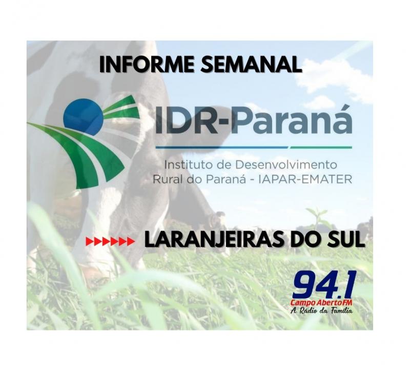 Produtores já podem encaminhar projetos para o Paraná Energia Rural Renovável 