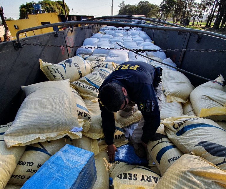 PRF apreende 2,7 toneladas de maconha na cidade de Ubiratã