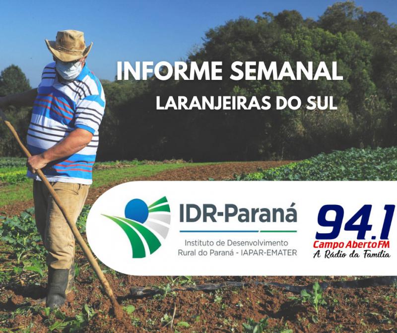 7 projetos da Agricultura Familiar da região de Laranjeiras do Sul estão concorrendo a recursos do Coopera Paraná 