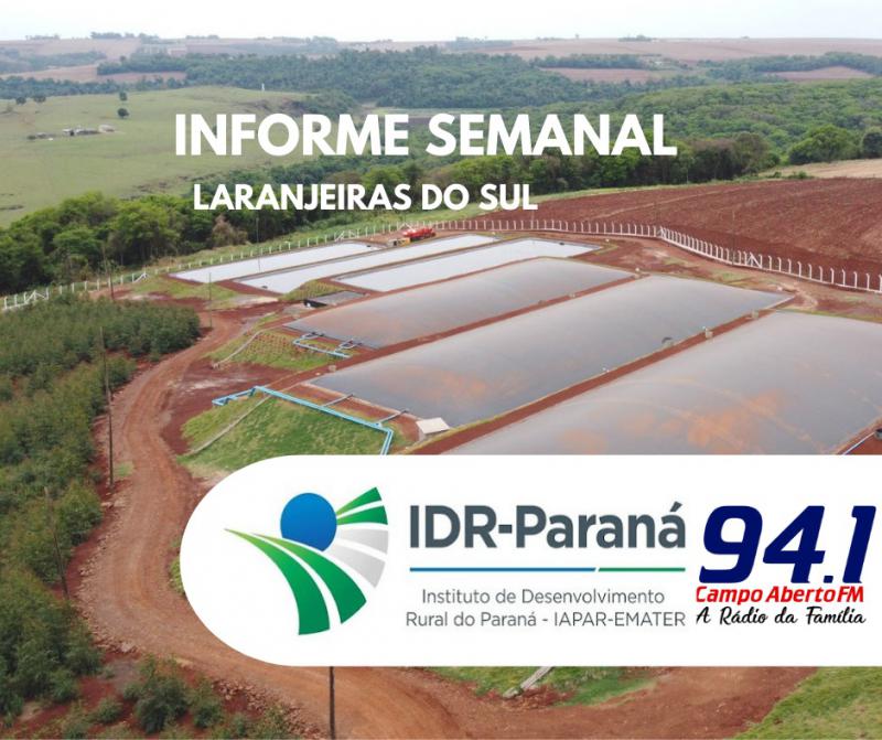 Paraná Energia Rural Renovável e Banco do Agricultor podem ser acessados por produtores da Cantu