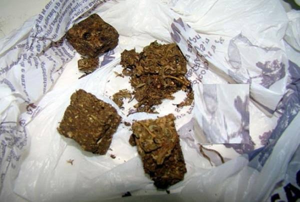 Laranjeiras: Dois irmÃ£os foram flagrados com maconha apÃ³s abordagem policial