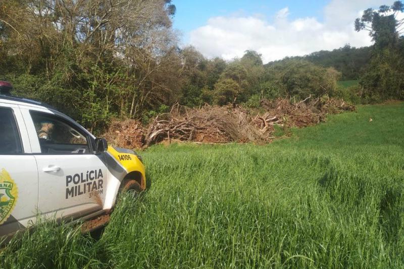 Estado aplica R$ 1 milhÃ£o em multas e apreende madeira nativa em aÃ§Ã£o contra o desmatamento