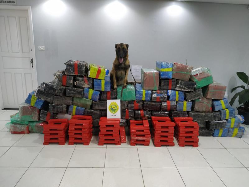 CandÃ³i: PM apreende 1,5 tonelada de maconha na BR 277