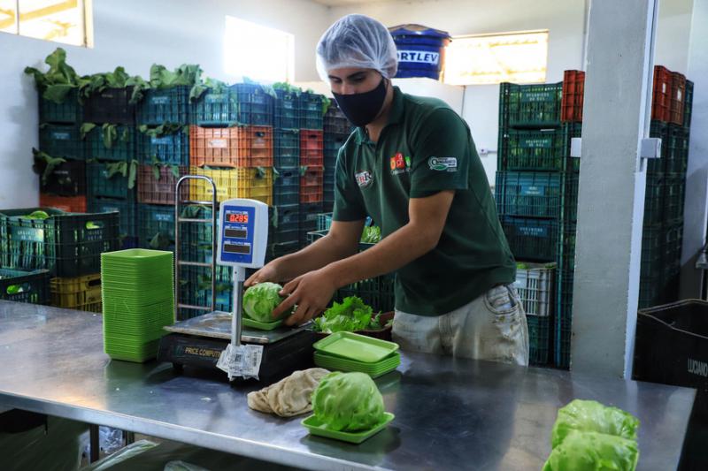 Programa Compra Direta é capítulo de livro sobre comercialização, agroecologia e inovação