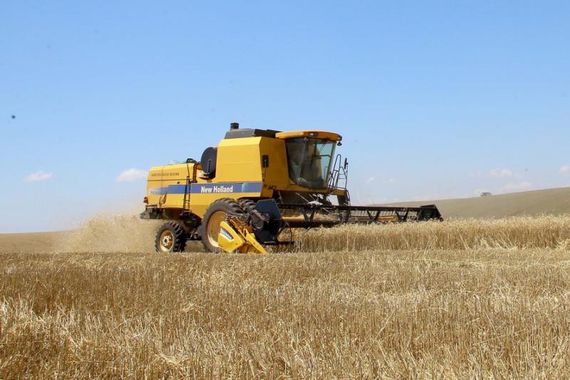 No Paraná, trigo chega à reta final da colheita com preços em alta