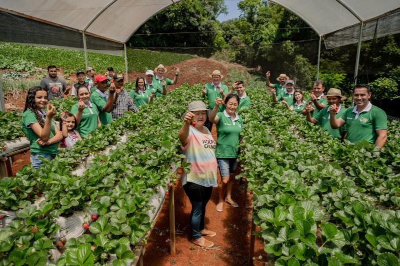 Programa do Sicredi oferece assistência técnica para produtores rurais associados