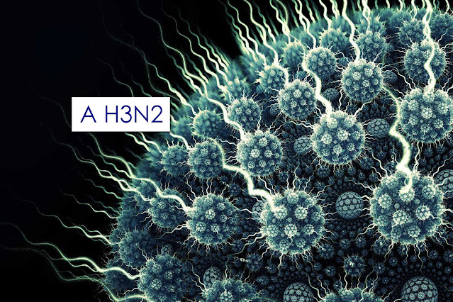 Semusa de Laranjeiras do Sul  pede para que população mantenha cuidados contra a Influenza H3N2