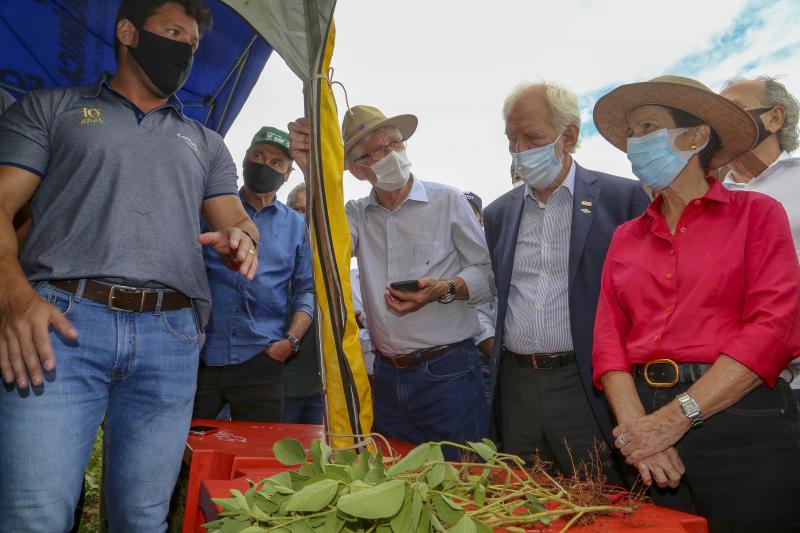 Ministério da Agricultura e Estado avaliam efeitos da estiagem e apoiam produtores do Paraná