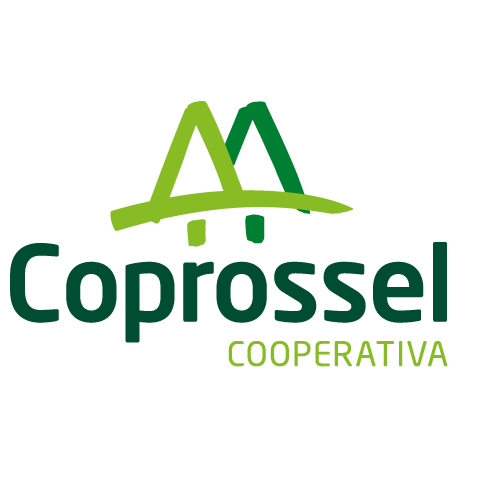 Saúde dos cooperados e colaboradores está no centro das ações da Coprossel 