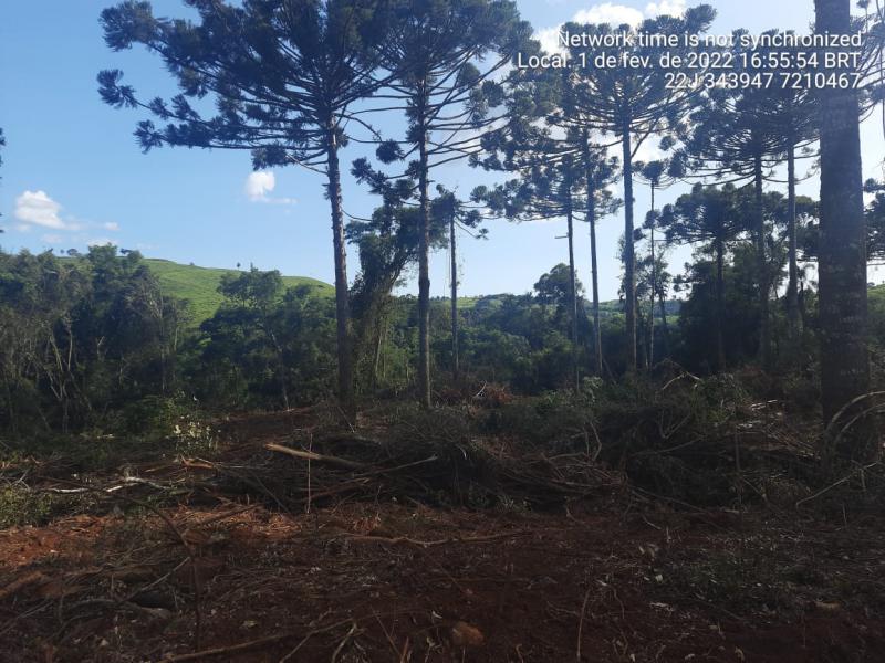 N. Laranjeiras: Policia Ambiental flagra desmatamento de reserva ambiental no Rio Quati