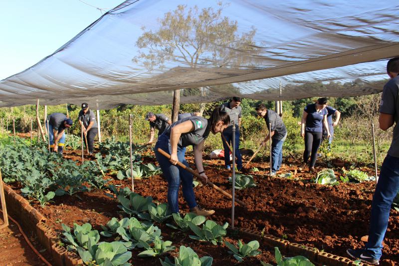 No Dia do Cooperativismo, Sicredi realiza ação beneficente na Casa de Repouso São Francisco Xavier