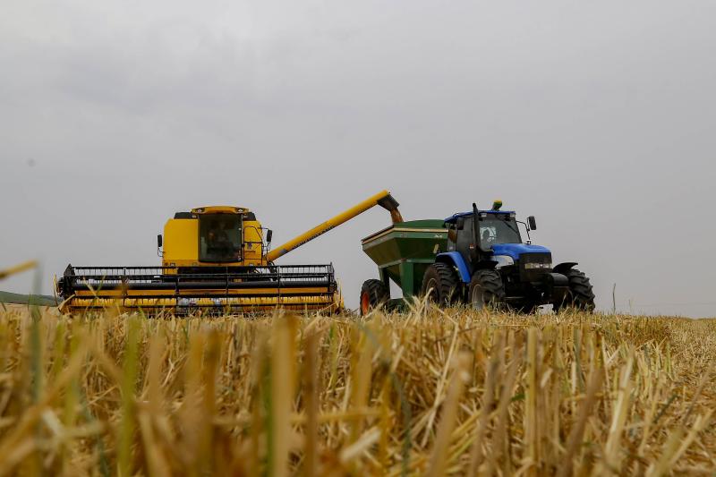 Deral-Produção recorde brasileira de trigo reflete em queda no preço de farinhas especiais e pão