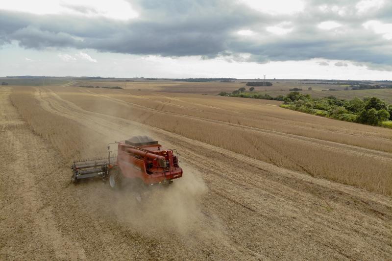 Segundo maior produtor de soja, Paraná responde por 14% da safra brasileira