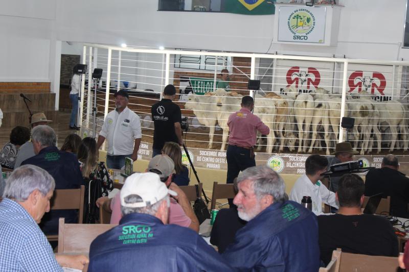 Feira de Bezerros e Bezerras da Sociedade Rural de Laranjeiras do Sul será neste sábado (04/03)