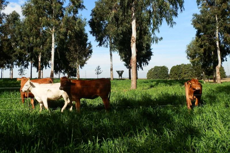 IDR-Paraná avalia potencial de expansão da agricultura sustentável no Estado