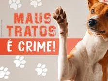 Laranjeiras: Mulher mata cachorro com golpe de machado no Bancário