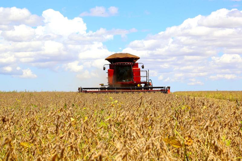 Paraná pode colher 20,8 milhões de toneladas de soja, maior volume da história