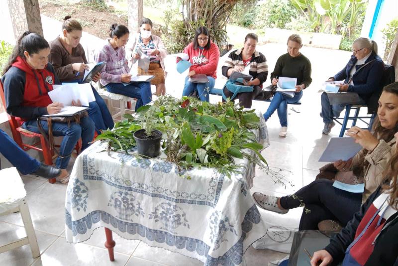 Projeto da Unicentro incentiva uso de plantas medicinais para gerar renda a agricultoras