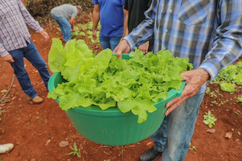 Secretaria de agricultura e Paróquia Sant´Ana viabilizam horta comunitária na Capela São Francisco