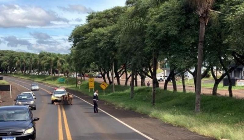 Homem fica nu antes de ser abordado na BR-158 em Coronel Vivida