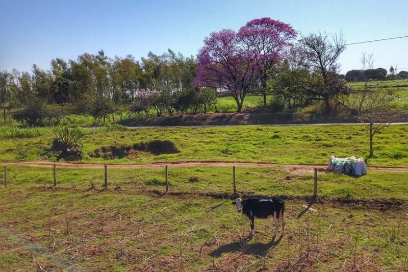 IAT cria guia para ajudar proprietários a adequarem áreas de reserva legal