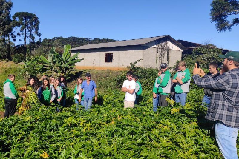 Com bom retorno financeiro, Paraná investe em olericultura e fruticultura para fidelizar jovens