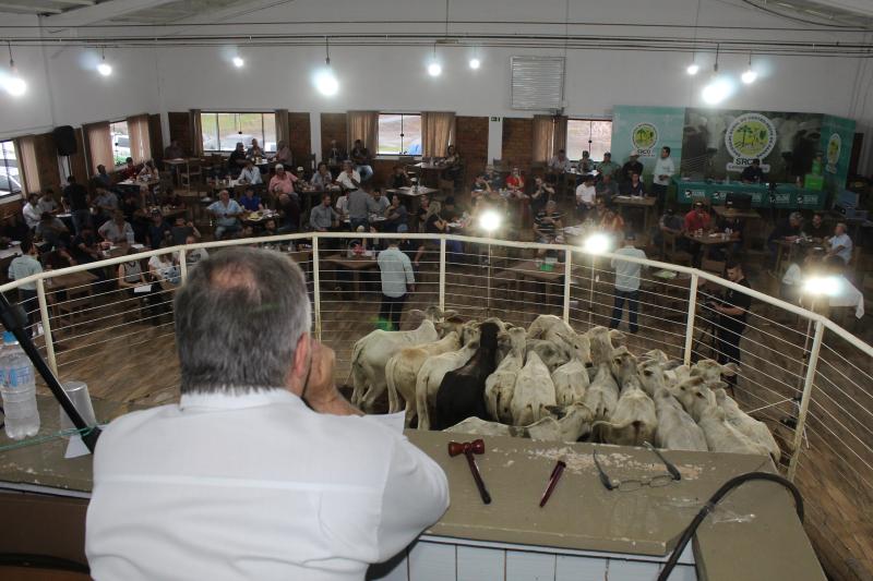 Feira de Gado de Corte da Sociedade Rural será neste sábado (03/06)