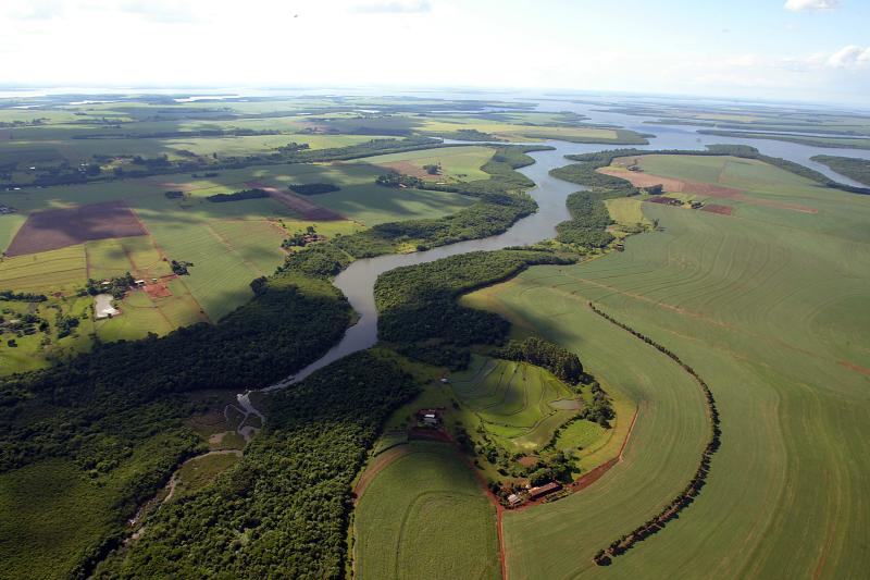 Com amplo reflorestamento, Rio Iguaçu tem maior volume de água em 12 anos