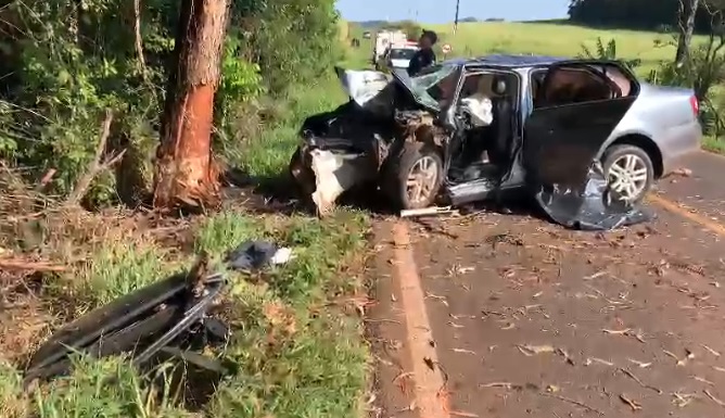 Dois Vizinhos: Duas pessoas morrem após carro bater em árvore na PR-473  