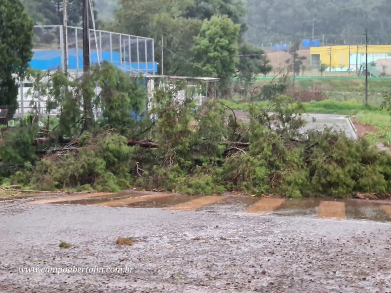 LS: Chuvas e ventos fortes causam estragos na região do Bairro Palmeiras 