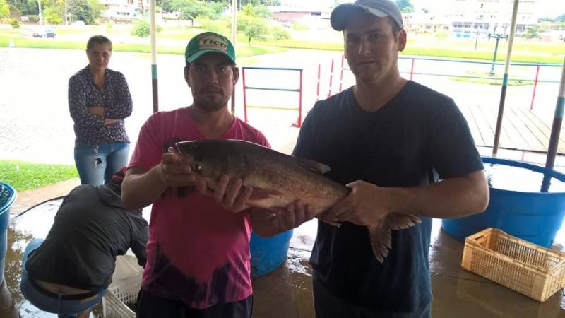 Feira do peixe vivo supera expectativas