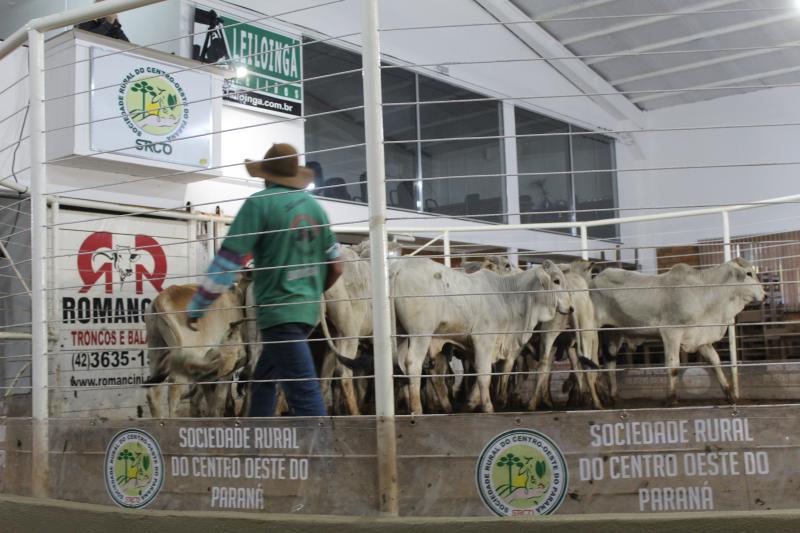 Hoje (07/10)  tem Leilão de Gado de Corte da Sociedade Rural de Laranjeiras do Sul 