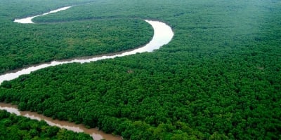 Produtores rurais da Amazônia lançam movimento contra narrativas ambientalistas e políticas governamentais, exigindo diálogo e participação na COP30