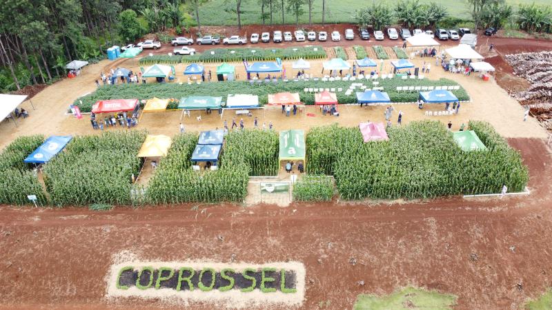 Dia de Campo Coprossel – Novidades tecnológicas, de sementes e insumos, troca de informações e oportunidades do agro 