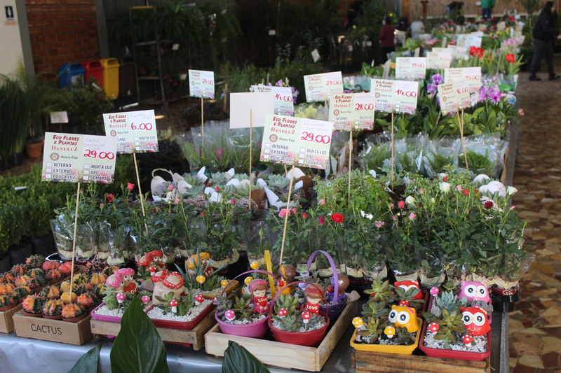 15ª Feira de Mudas do Rotary movimenta Laranjeiras do Sul com flores, frutíferas e ornamentais