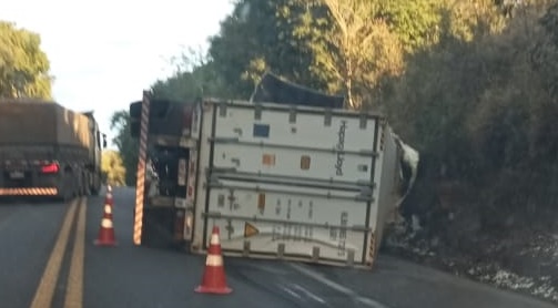 LS: Carregada carregada com frangos tomba na BR 277 e carga é saqueada