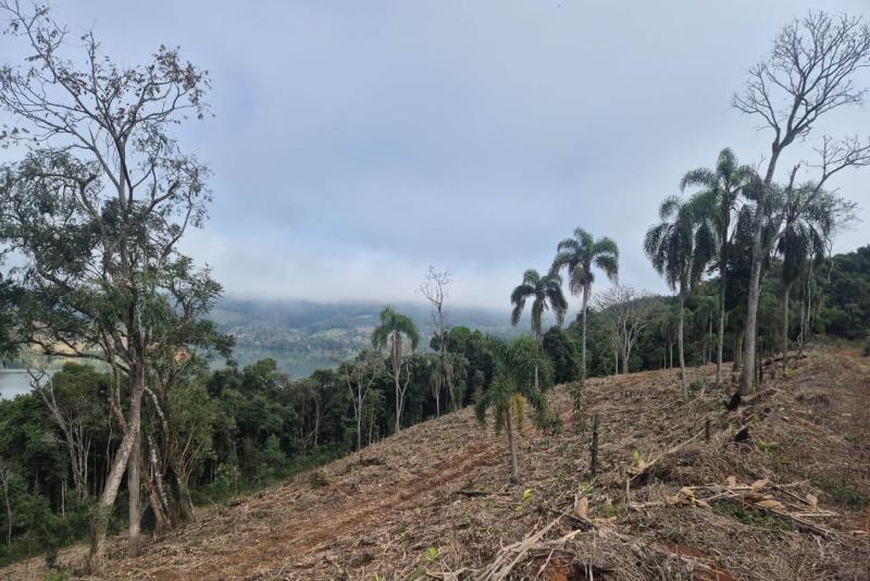 Operação de combate ao desmatamento em 12 cidades aplica R$ 4,6 milhões em multas