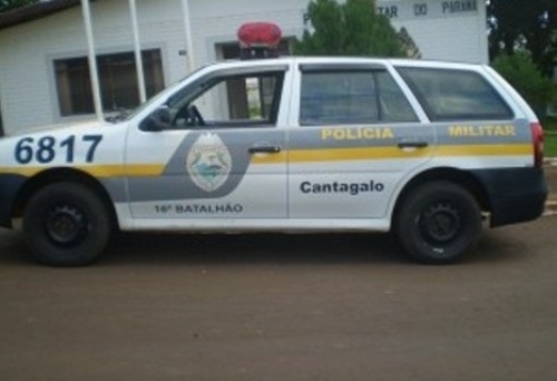 Cantagalo: Animal é atingido por disparo de arma de fogo em propriedade rural