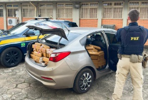 Guarapuava: PRF apreende quase 660 quilos de maconha e recupera veículo com registro de furto