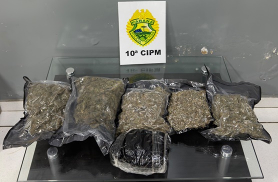 LS: ROTAM apreende 4kg de "murruga" em ônibus na estação rodoviária