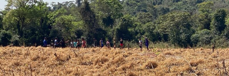 Sistema FAEP repudia nova invasão de terra no Oeste do Paraná